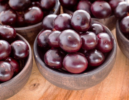  Acaiberry Extract