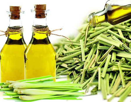  Lemon Grass Oil