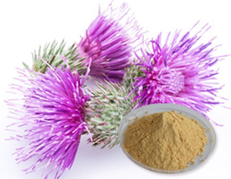  Milk Thistle Extract (Silymarin)