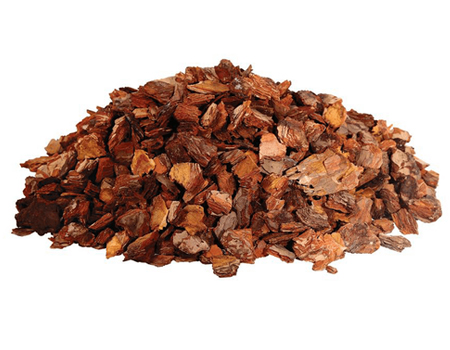  Pine Bark Extract