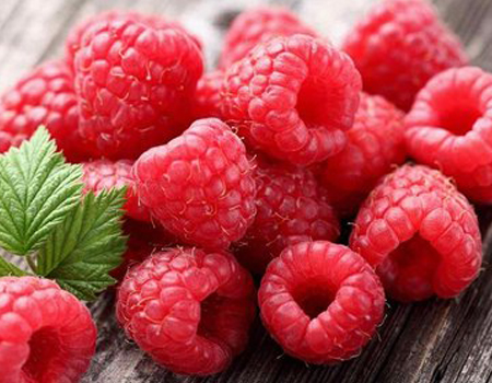  Raspberry Extract