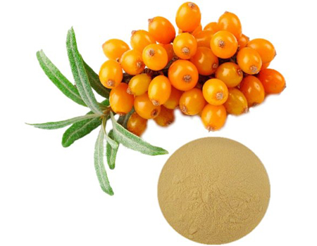 Sea Buckthorn Extract